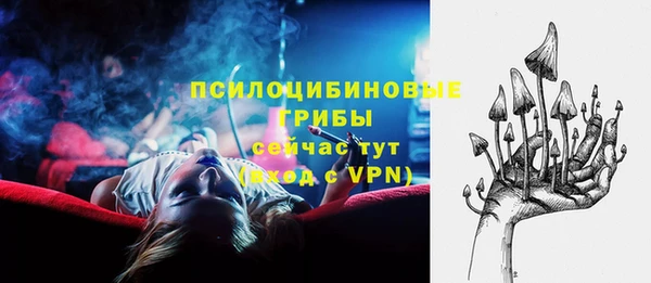 бошки Анива