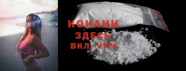 a pvp Няндома