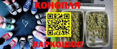 a pvp Донской