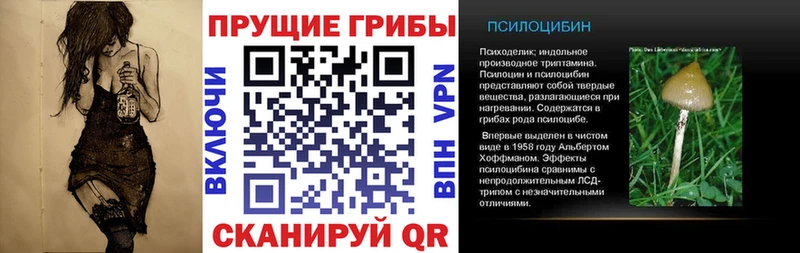 Галлюциногенные грибы Cubensis  купить   OMG ТОР  Нововоронеж 
