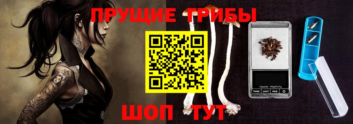Галлюциногенные грибы прущие грибы Нововоронеж