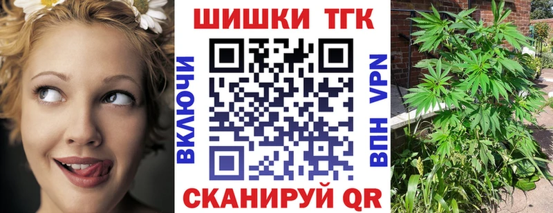 Каннабис сатива  Нововоронеж 